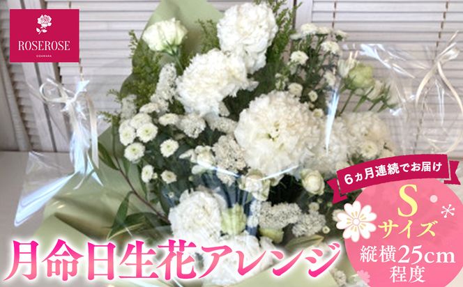 【定期便６ヵ月】月命日生花アレンジ　Sサイズ　６ヵ月連続でお届け【 神奈川県 小田原市 】 142069_HQ011