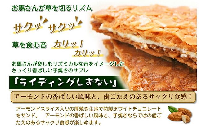 サラブレッドの街 静内の手焼きサブレ　ライディングしずない 15個入り
