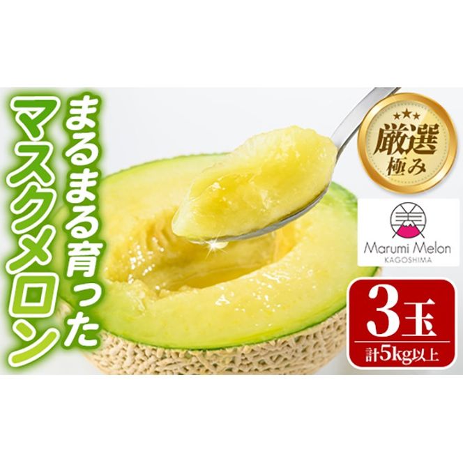 【0352206a】まるまる育ったマスクメロン(3玉・計5kg以上) マスクメロン フルーツ 果物 果実 5キロ 数量限定 期間限定【まる美園芸組合】