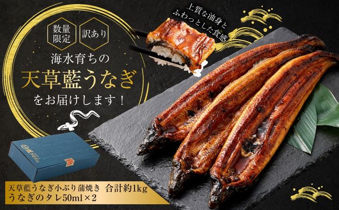 【数量限定】 【訳あり】 【ミシュラン星付きのプロが愛用】海水育ちの 天草 藍うなぎ 小ぶり 蒲焼 1kg  養殖期間中 無投薬 鰻 ウナギ うなぎ うなぎ蒲焼 鰻の蒲焼 国産 【2026年6月下旬より順次発送予定】
