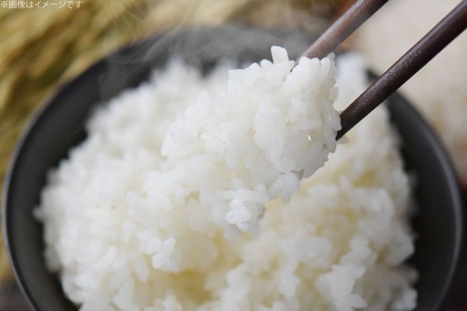 米 白米 5kg 彩のきずな 6回 定期便 総計 30kg [株式会社風の丘ファーム 埼玉県 小川町 444] お米 こめ コメ 白米 精米 ご飯 飯 お弁当 農薬不使用 埼玉 埼玉県産