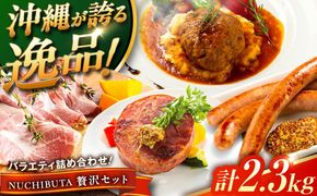 『NUCHIBUTA 贅沢セット』 豚肉 ハンバーグ ソーセージ ハム 詰め合わせ お取り寄せ 国産 ギフト 冷凍 沖縄市 / DELICATESSEN NUCHIBUTA [BCAR008]