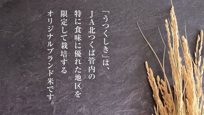 【 定期便 3ヶ月 】 JA北つくば オリジナル ブランド米 「 うつくしき 」 10kg ( コシヒカリ )  ( 5kg × 2袋 ) 令和6年産 農協 JA 米 お米 白米 コメ こしひかり 茨城県 精米 新生活 応援 [AE046ci]