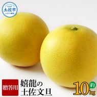 【先行予約】嬉龍の土佐文旦　贈答用　2～3Ｌサイズ　約10kg〈2027年1月中旬〜発送〉【嬉龍】