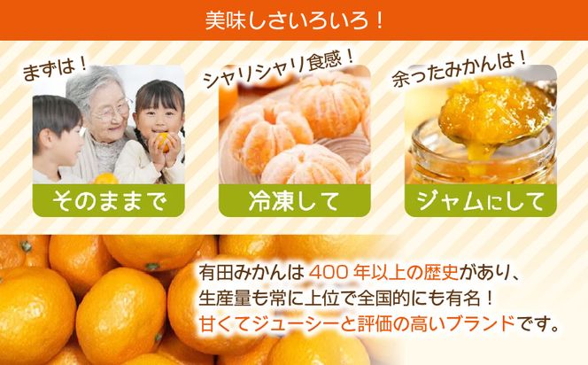 ZJ6097_【2026年先行予約】果物ランキング1位獲得！ 総合ランキング6位獲得！TVで紹介されました！リピーター続出 みかん 温州みかん フルーツ 果物 柑橘 果実 甘味 酸味 ジューシー 人気 国産 食べ物 産地直送 和歌山県 湯浅町 送料無料 家庭用 和歌山 有田みかん 約5kg (SS、Sサイズ) 湯浅町