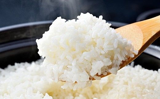 【新米　先行予約】令和8年産冷めても美味しいあっさりとした味わい「みずかがみ」白米【5kg】【C076W】