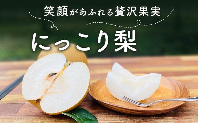 【先行予約】梨(にっこり) 4玉～7玉入り×1箱 (4.5kg以上) ※2026年10月上旬～11月下旬頃に順次発送予定