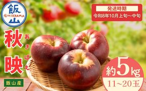 【先行予約丨2026年10月上旬より順次発送】秋映【約5kg (11〜20玉)】(At-009)丨長野県 飯山市 おすすめ ランキング おいしい 高評価 大人気 先取り 産地直送 りんご 秋映