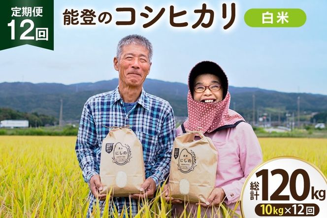 【期間限定発送】 米 定期便 コシヒカリ 白米 10kg 12回 総計 120kg [農家にしの 石川県 宝達志水町 38601410] こしひかり お米 おこめ こめ コメ 精米 ごはん ご飯 令和8年産 新米