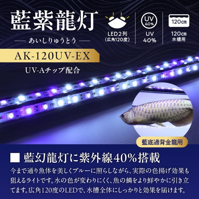 スリム&高耐久!金龍を美しく、UV-Aチップ配合の水中LED|AK-120UV-EX［172C15］藍底 金龍 ワイルドブルー 照射 水中 アロワナ UVチップ 水槽ライト テンニングライト LED ライト 照明 水中照明 光 綺麗 強化ガラス 1年保証 簡単 防水 吸盤 設置 でんらい インテリア 雑貨 愛知県 小牧市 送料無料