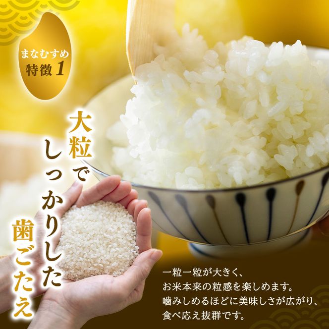 まなむすめ 5kg×1袋 令和8年産 新米 先行予約 宮城県産 米 精米 白米 米 コメ お米 おこめ ブランド米 ご飯 ごはん
