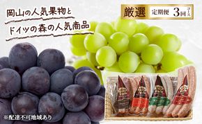 定期便 2026年 先行予約 岡山の人気果物とドイツの森の人気商品 厳選 3回コース ぶどう ニューピオーネ シャインマスカット 晴王 ソーセージ 赤磐市