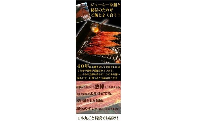 大型サイズ　 ふっくら柔らか国産うなぎ蒲焼き　約２人前　化粧箱入◆
