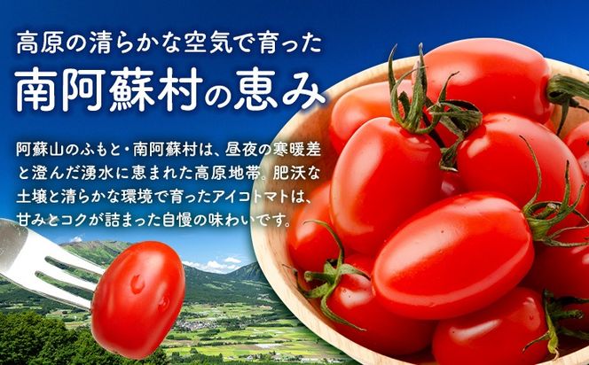 ミニトマト アイコ 約2kg 約3kg ますだふぁーむ《7月上旬-11月末頃出荷》熊本県 南阿蘇村 アイコトマト 野菜 旬 夏野菜 トマト---sms_msf_af711_r7_11000_2kg---