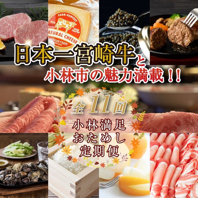 y{茧юszyցES11z{{苍Əюs̖͖ځIIі߂ց@20~R[XiY  Y a јa t[c َq ؓ { LrA ցj