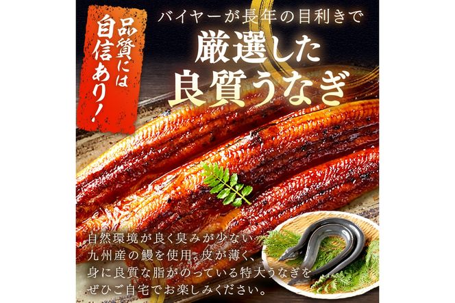 特大！極上！国産うなぎ蒲焼 2尾 合計500g前後 ＜鰻の蒲焼き ウナギのかば焼き 超特大かばやき 肉厚カバヤキ スタミナ 土用の丑の日 小分け＞　YK00401