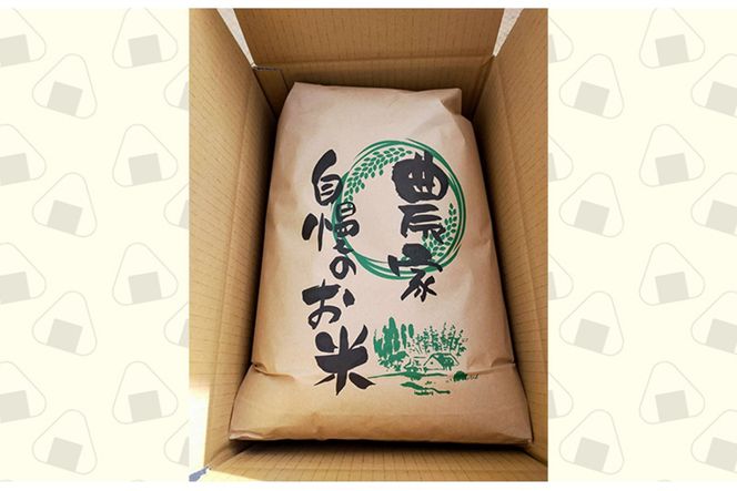 2025年産　京丹後産コシヒカリ 玄米20kg　GB00005