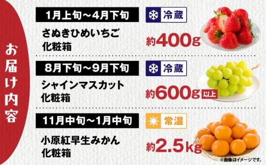 【ALL化粧箱】【3回お届け】高松市自慢のフルーツ定期便【F】 372013_T006-770J