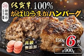 佐賀牛100％がばいうまかハンバーグ(150g×6個)【佐賀県産 国産 佐賀牛 肉 お肉 牛肉 冷凍 無添加 個包装】(H118101)