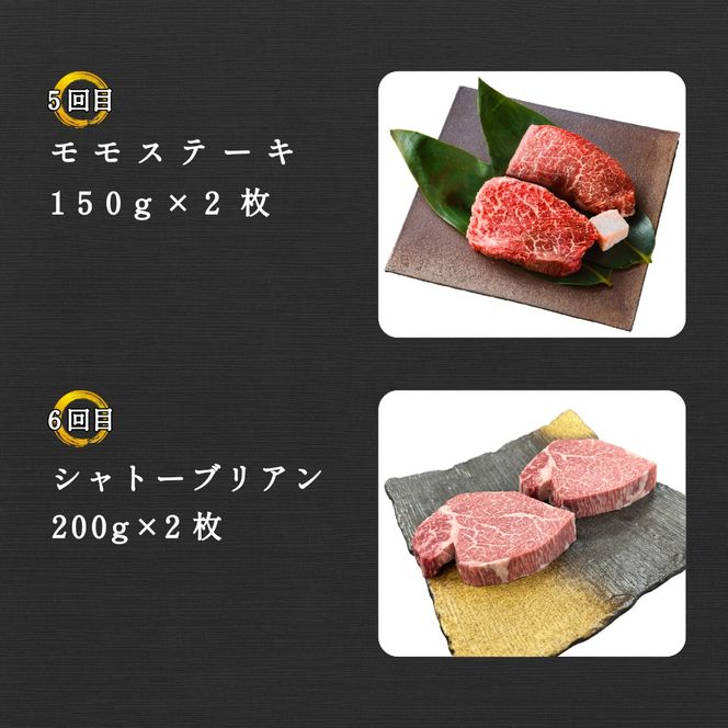【定期便 全6回】宮崎県西ノ原牧場・なかにしプレミアム和牛ステーキ定期便（牛肉 黒毛和牛 ステーキ サーロイン モモ 定期便 A4 A5）