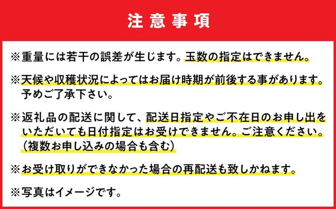 【先行予約】【優秀賞受賞】沖縄県産 完熟マンゴー 贈答用 1kg (2〜3玉) マンゴー 沖縄 果物 フルーツ ギフト 沖縄市 / MAIFARM[BCAN001]