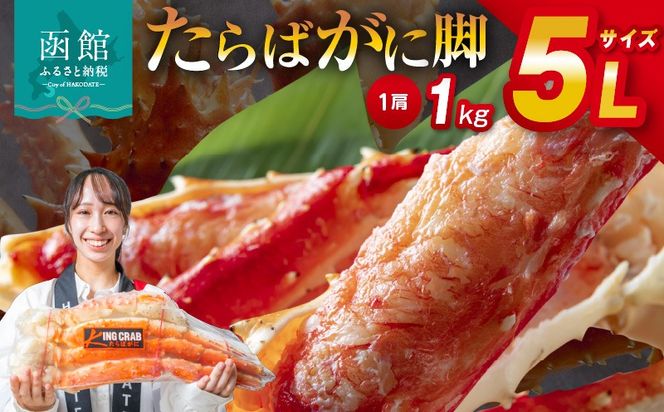 �y�k�C�����َs�z�T�k�T�C�Y����΂��ɋr�P����_HD065-004