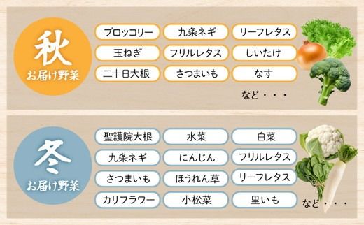 野菜 定期便 直送 6回 朝採れ 7～10品目 京都丹波 亀岡 佐伯の里 訳あり生活応援 家計応援 ※北海道・沖縄・離島への配送不可