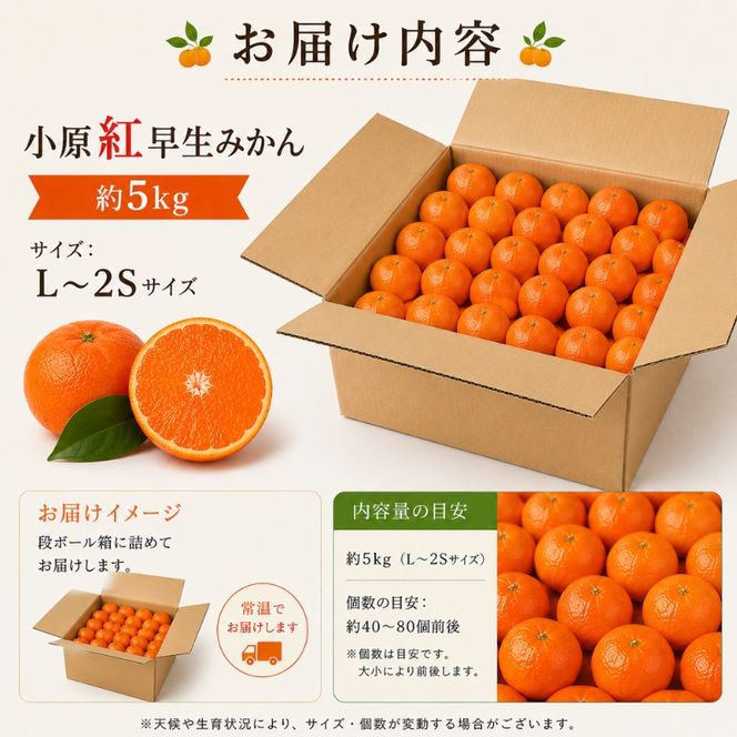 小原紅早生みかん　約5kg 果物類 柑橘類 フルーツ 