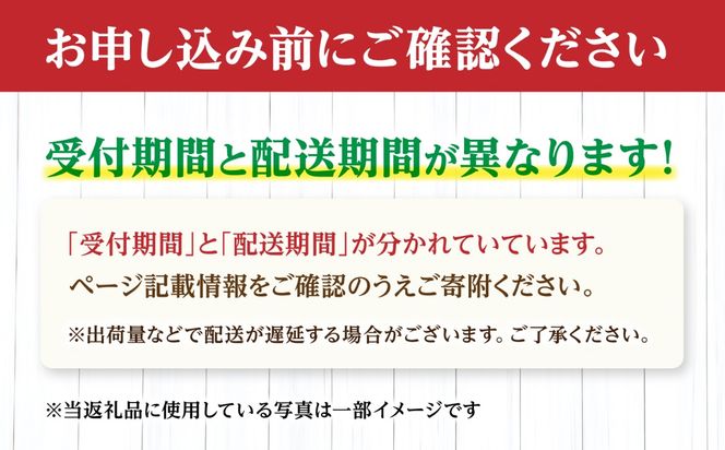【9〜10月発送】【梨の王様】こだわり 新高梨 約5kg /  梨 ナシ フルーツ 果物 旬 先行予約 産地直送 家庭用 国産 / 南島原市 / 株式会社マルハチ[SFG002]