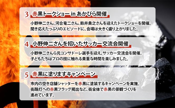 北海道 赤平市 寄附のみの応援受付 95,000円コース（返礼品なし 寄附のみ 95000円）