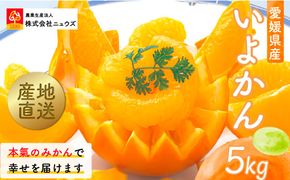 【先行予約】産地直送！愛媛県産いよかん 5kg（2027年1月中旬から発送予定） IKTF004