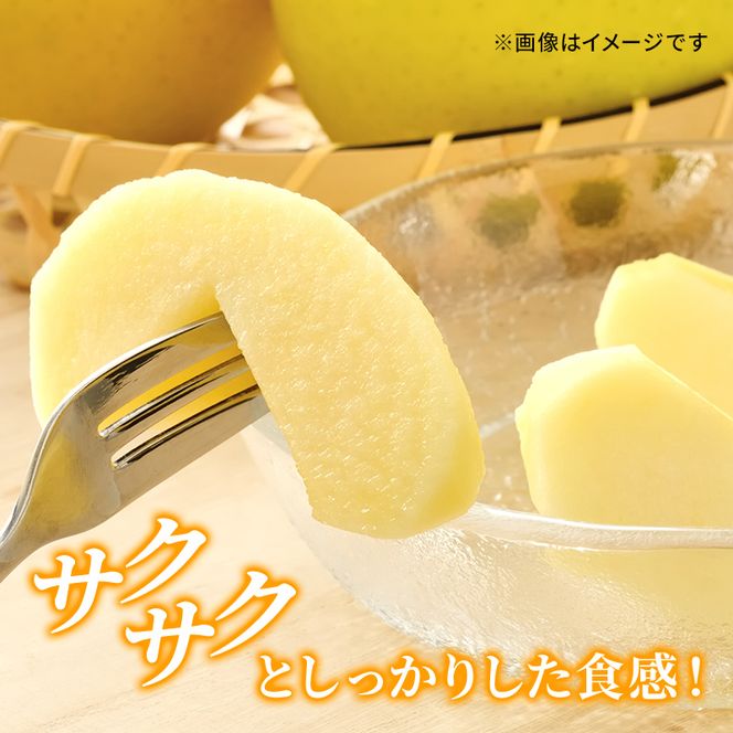 シナノゴールド 秀品 約5kg 長野県産 果物類 林檎 りんご リンゴ フルーツ 小諸市