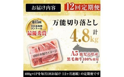 【定期便全12回】＜A4・A5等級＞黒毛和牛堪万能切り落とし肉 計4.8kg（400g×1P・全12回） t0144-001
