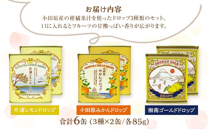 【小田原のフルーツ果汁を使ったドロップ3種類×2個セット】口に入れるとフルーツの香りが広がるドロップ。【 ドロップ 神奈川県 小田原市 】 142069_CW057