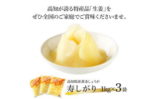 【CF-R7hbk】SNS005　国産黄金しょうが寿しがり1kg×3袋 -  ガリ しょうが ショウガ 生姜 坂田信夫商店 黄金しょうが 国産 お寿司 付け合せ 寿司用がり ふるさとのうぜい 故郷納税 15000円 返礼品 高知