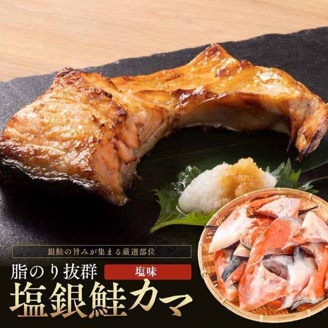 【ふるさと納税】訳あり 鮭 カマ 選べる 1kg 2kg 3kg しゃけ かま 塩銀鮭 サーモン 切り身 厚切り 冷凍 焼き鮭 おかず 朝食 お弁当 魚 海鮮 海産物 訳アリ 焼き魚 送料無料 福井県 若狭町