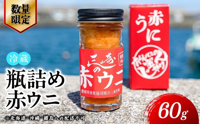 【数量限定】瓶詰め赤ウニ（60g・単品） 冷蔵 ※北海道・沖縄・離島への配送不可 IKTJ018
