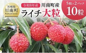【令和8年産】川南町産ライチ（大粒）10粒(5粒×2パック) 【 国産ライチ フルーツ デザート 宮崎県産 】 [C03203]