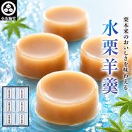 水栗羊羹 80g × 6個 ［小布施堂］ 菓子 スイーツ 羊羹 水羊羹 栗水羊羹 栗羊羹 水ようかん 栗ようかん 栗 ギフト お中元 長野県 信州 和菓子 ［A-57］
