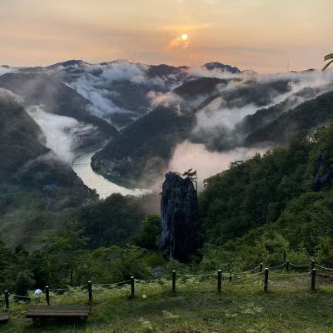 2026年 早期受付 ぶどう シャインマスカット 約２kg（3～4房）大粒  岡山県高梁市産 個装箱入り 葡萄 ブドウ 贈り物