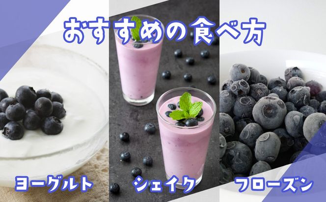 【先行予約】極上摘みたてブルーベリー　100g×4パック【期間限定】
