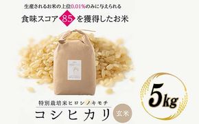 令和8年度　新米 特別栽培米 コシヒカリ ヒロシノキモチ 玄米 5kg ブランド米 銘柄米 国産 米 お米 日本米 ギフト 贈り物 備蓄 防災 食品 陽咲玲 はるざれ F6T-1029