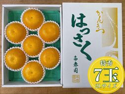 化粧箱 手詰め 有田 はっさく 特秀 大玉 2L サイズ × 7玉入 南泰園 みかん BS698