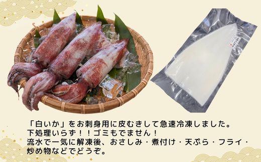 【柔らかくて甘い！お刺身用 白イカむき身 350g（冷凍）】ご入金確認後、水揚げ次第順次発送予定 下処理済み 産地直送 鮮度抜群 大人気 ふるさと納税 香美町 香住 送料無料 イカ 74-05