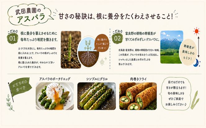 ［武田農園とれたて直送］2027年春～発送 訳あり グリーンアスパラ サイズ混合 約1kg ご家庭用 やわらかくて抜群に甘い！北海道 富良野産 ( アスパラガス アスパラ 野菜 新鮮 産地直送 先行予約 限定 )