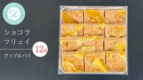 ショコラフリュイ アップルパイ 12枚 チョコレート チョコ スイーツ デザート 高級 ギフト 贈り物 お礼 プレゼント 手土産 お菓子 [DJ52-NT]