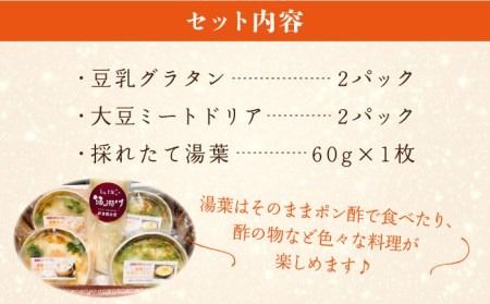 【全12回定期便】【湯葉を贅沢使用！】湯葉三昧セット（豆乳グラタン×2＋大豆ミートドリア×2＋湯葉60g1枚） 糸島市 / 酒瀬川 [AZJ012] ドリア 冷凍 ギフト ゆば グラタン 大豆 国産 詰め合わせ