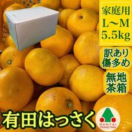 訳あり 傷多め 有田 はっさく L または M サイズ 5.5kg 南泰園 みかん BS720