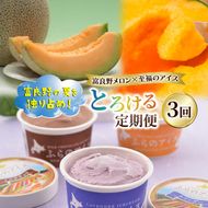 【定期便3回】富良野の夏を独り占め！富良野メロン×至福のアイス "とろける定期便" メロン 赤肉 大玉 果物 アイス アイスクリーム デザート おやつ ご褒美 冷凍 定期便 産地直送【2026年夏～発送】