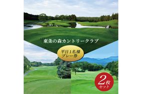 東条の森カントリークラブ 平日 1名様 プレー券 (2枚セット) 東条の森CC [ ゴルフ 加東市 兵庫県 関西 ゴルフ場 ] ゴルフ場利用権 